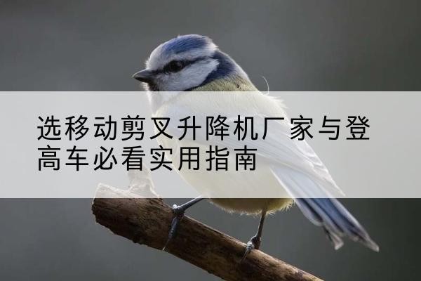 铁锋电动升降机厂家-选移动剪叉升降机厂家与登高车必看实用指南