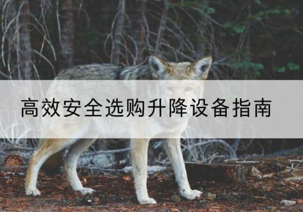 铁锋升降货梯厂家推荐-*安全选购升降设备指南