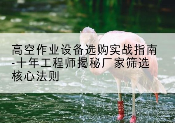 铁锋剪叉式升降机厂家-高空作业设备选购实战指南-十年工程师揭秘厂家筛选核心法则
